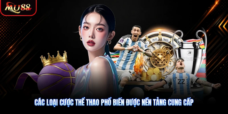 Các loại cược thể thao phổ biến được nền tảng cung cấp