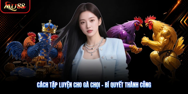 Cách Tập Luyện Cho Gà Chọi - Bí Quyết Thành Công