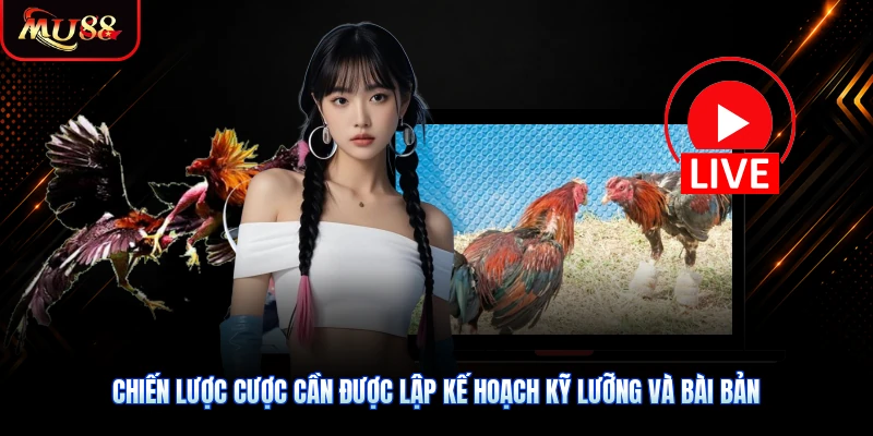 Chiến lược cược cần được lập kế hoạch kỹ lưỡng và bài bản