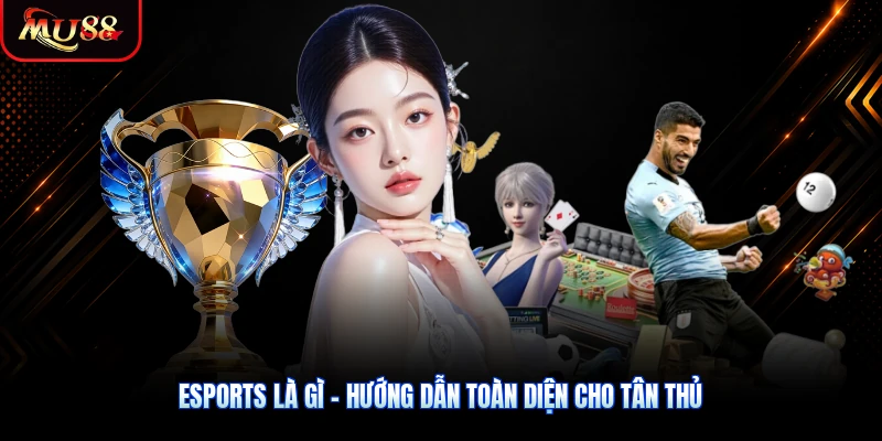 Esports Là Gì - Hướng Dẫn Toàn Diện Cho Tân Thủ