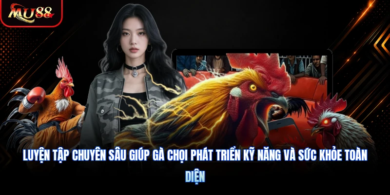 Luyện tập chuyên sâu giúp gà chọi phát triển kỹ năng và sức khỏe toàn diện