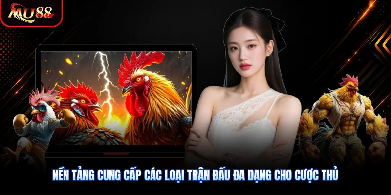 Nền tảng cung cấp các loại trận đấu đa dạng cho cược thủ