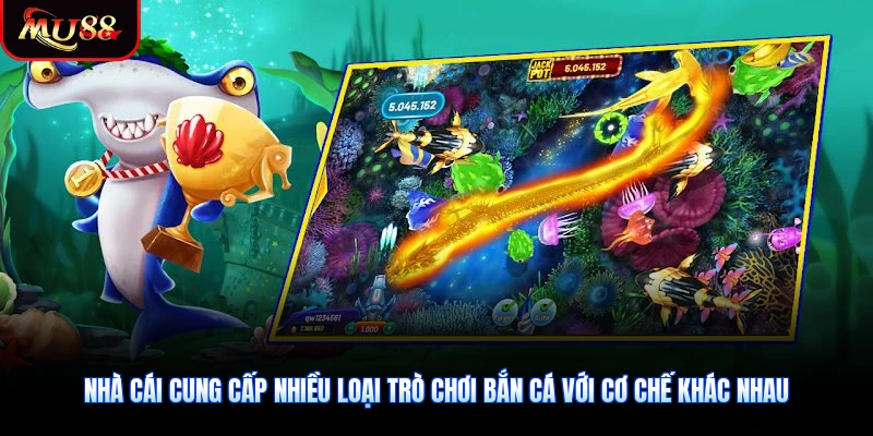 Nhà cái cung cấp nhiều loại trò chơi bắn cá với cơ chế khác nhau