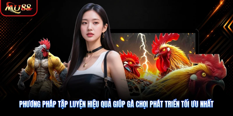 Phương pháp tập luyện hiệu quả giúp gà chọi phát triển tối ưu nhất