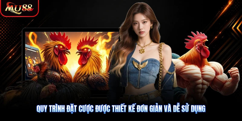 Quy trình đặt cược được thiết kế đơn giản và dễ sử dụng