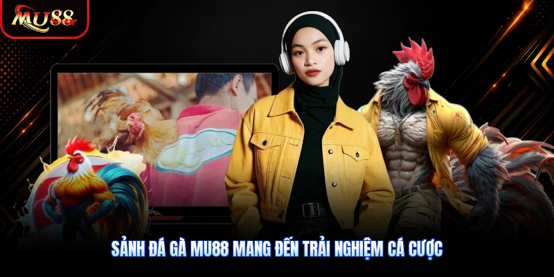 Sảnh đá gà MU88 mang đến trải nghiệm cá cược